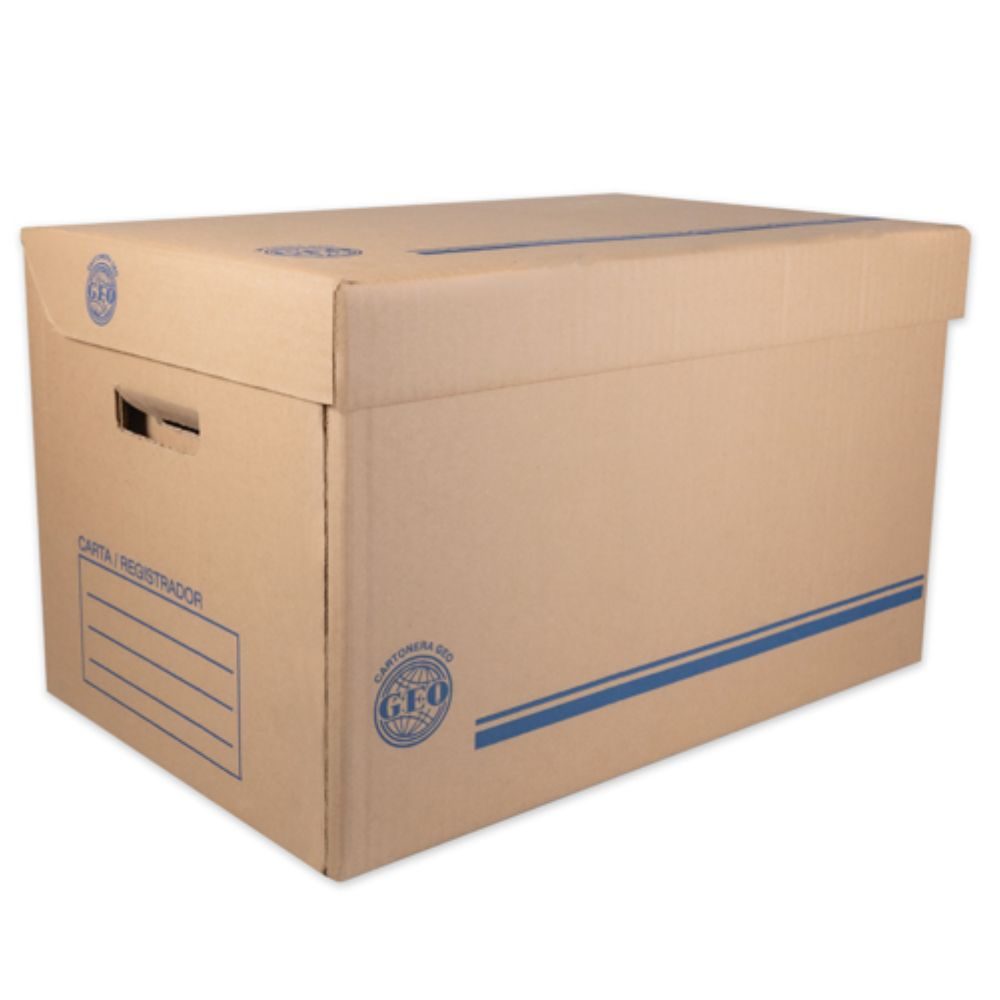 Caja de archivo GEO kraft para registrad