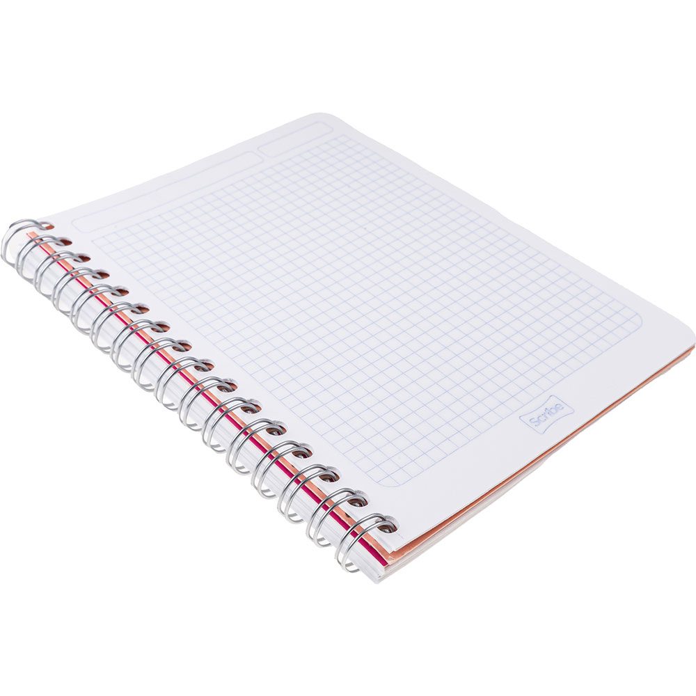 Cuaderno Forma Francesa Cuadro Chico 5mm