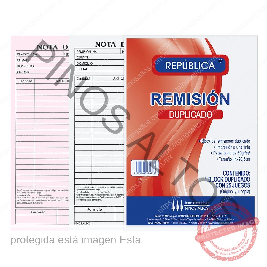 Remisión duplicado Pinos Altos esquela