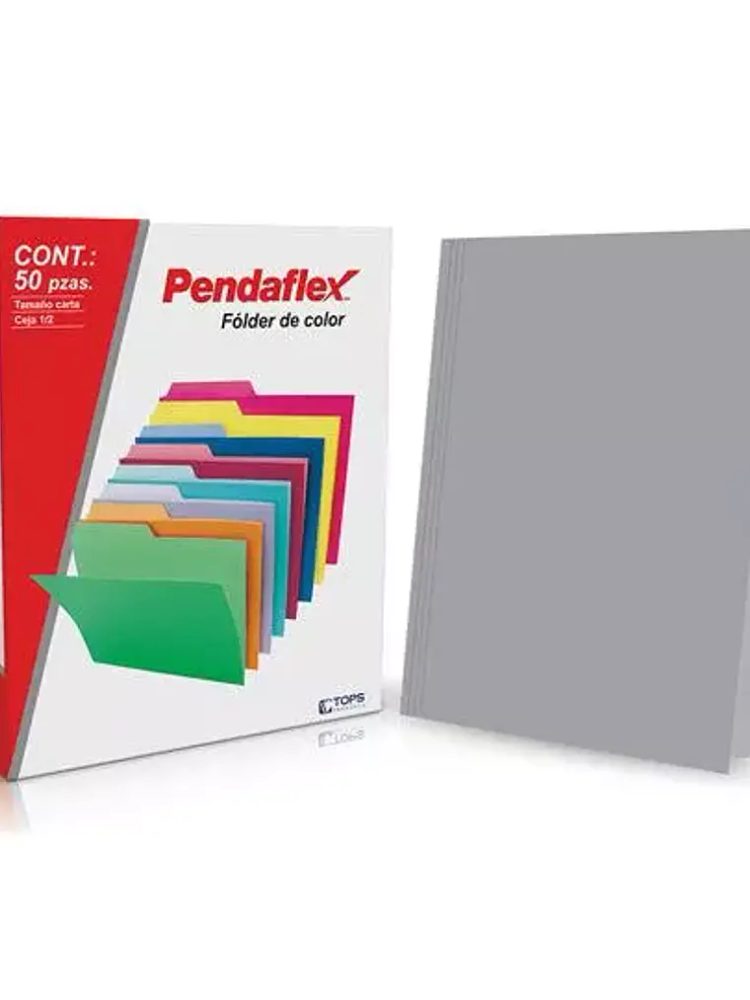 Folder de color Pendaflex carta color gr