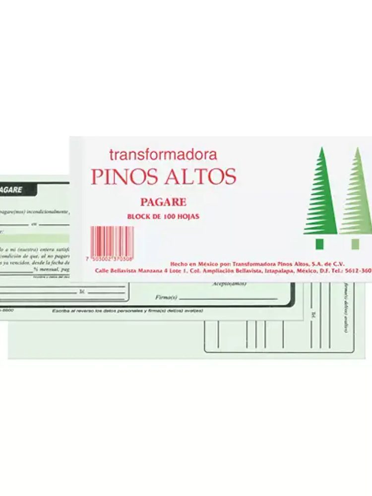 Pagare Pinos Altos block con 100 hojas