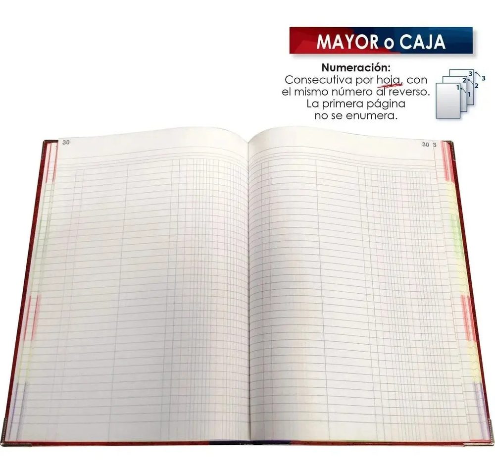 LIBRO FLORETE FORMA FRANCESA MAYOR