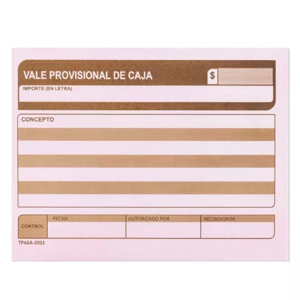 Vale provisional de caja Pinos Altos blí