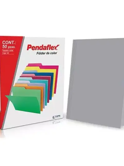 Folder de color Pendaflex carta color gris