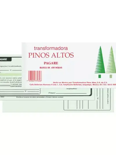 Pagare Pinos Altos block con 100 hojas