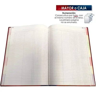 Libro Florete Forma Francesa Mayor