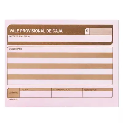 Vale provisional de caja Pinos Altos