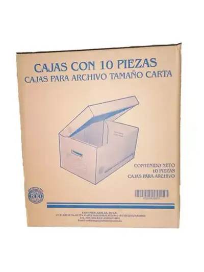 Caja de archivo GEO kraft carta