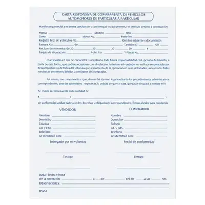 Carta responsiva Pinos Altos "Contrato