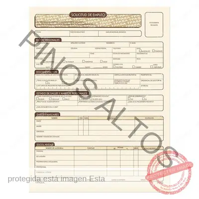 Solicitud de empleo Pinos Altos blister